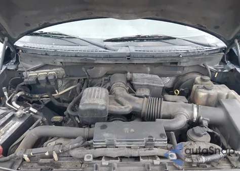 2009 Ford F-150 Fx4/Lariat/Xl/Xlt from USA, damaged, VIN 1FTPX14V89KB56911